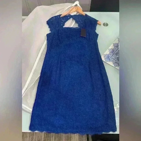 NWT Adrianna Papell Blue lace dress - Picture 4 of 4